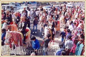 Jangid Brahmin Samaj Samuhik Vivah Sammelan Jhotwara, Jaipur